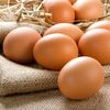 FDA: Major Egg Producer Isn't Doing Enough About Rodent Droppings "Too Numerous To Count"